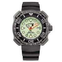 Watch Citizen Man Promaster Diver's 200 Full Lume in Titanium BN0227-17X - BN0227-17X